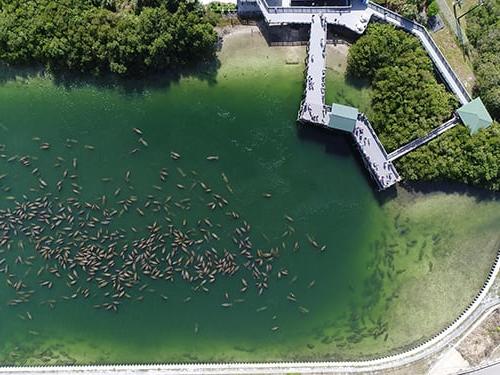 Manatee Viewing Center